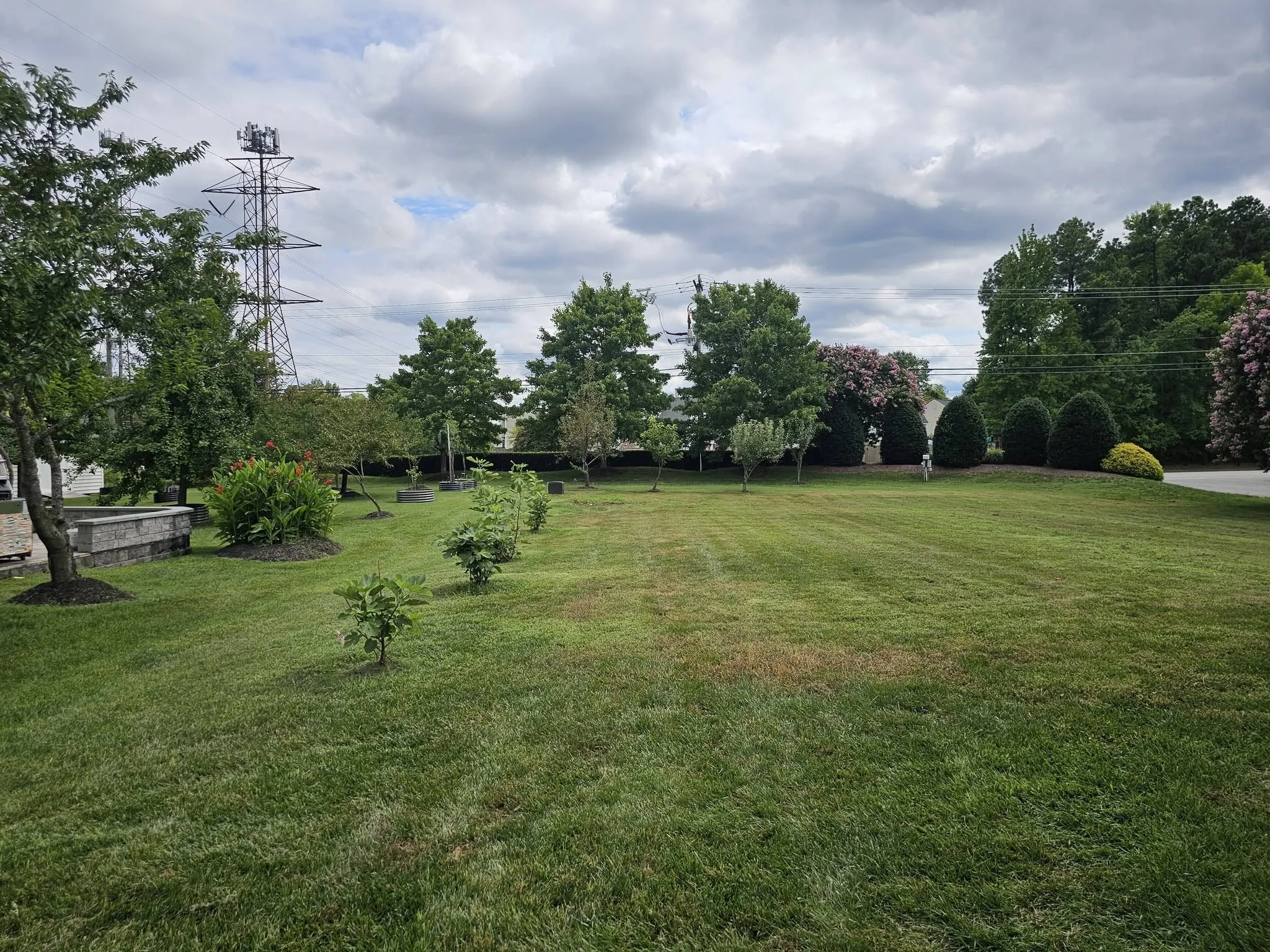 The same lawn, clear