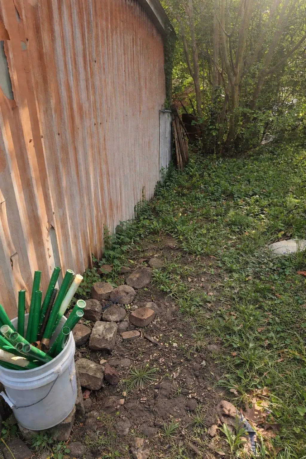 The same shed wall, cleared to bare ground